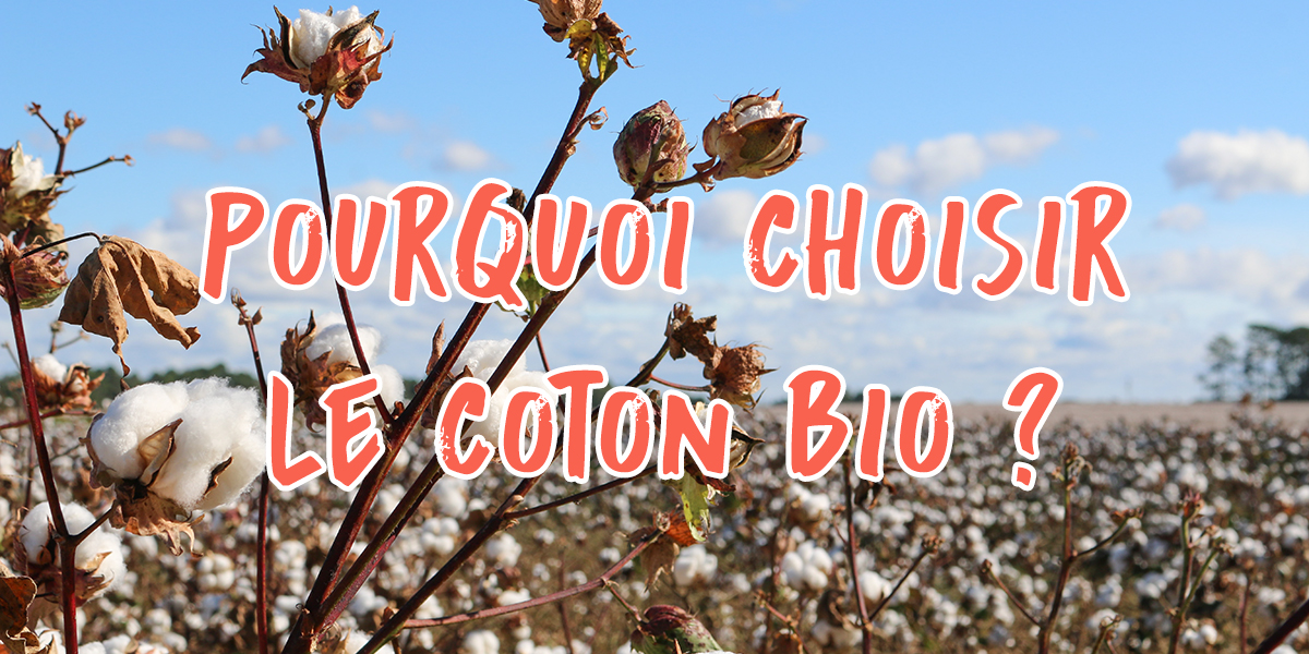 Pourquoi choisir ses vêtements en coton biologique ?