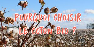Pourquoi choisir le coton bio écrit sur fond de champs de coton