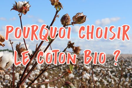 Pourquoi choisir le coton bio écrit sur fond de champs de coton