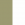 Buck / White