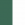 Evergreen / White