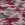 Pink Camo