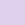Wisteria Purple