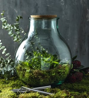 terrarium à personnaliser terrarium à personnaliser